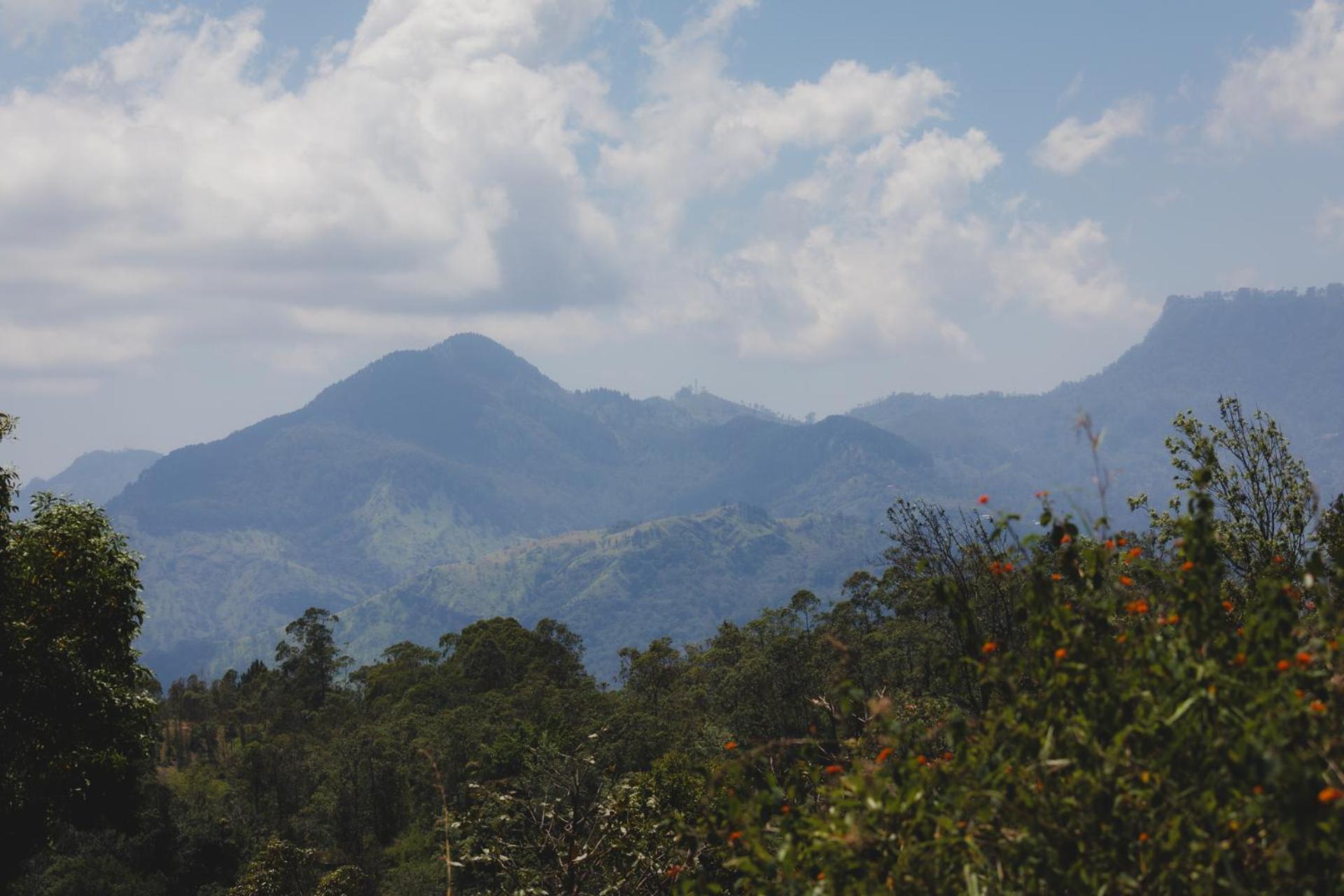 Ella Mountain Palace Bagian luar foto
